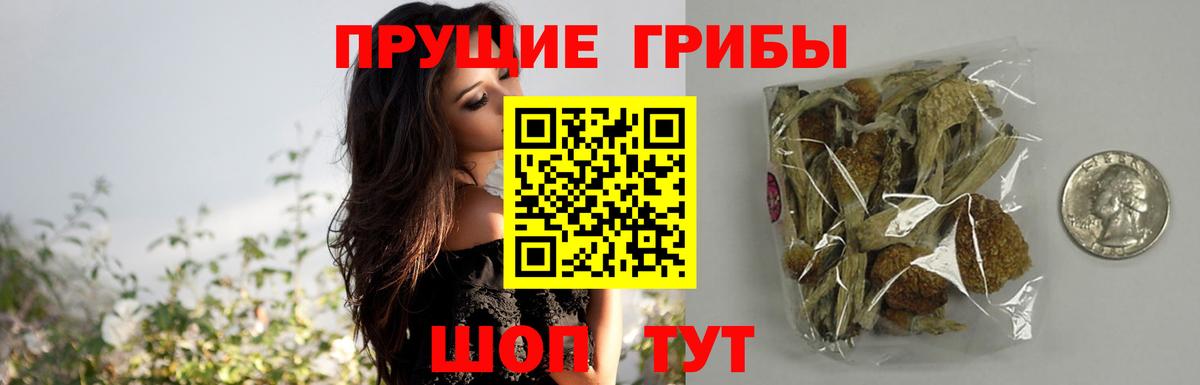 Галлюциногенные грибы GOLDEN TEACHER  Вход с VPN  Майский 
